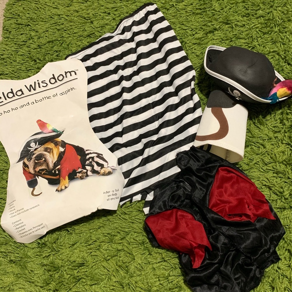 Small dog Pirate costume